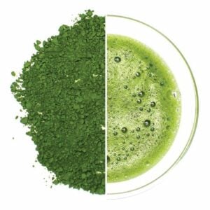 Matcha Kyoto Obubu 25 g